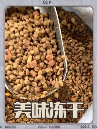 新鲜直发到家快,冻干鲜肉量给足,花一份钱享双倍满足 #厂家直销 #狗粮推荐#冻干狗粮#营养狗粮#源头实力厂家