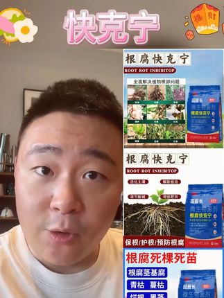 普普丰根腐快克宁 根腐,烂根 死棵 土传病害 果腐,白绢病#根腐快克  #好物 #根腐快克宁 #根腐 #好物推荐🔥