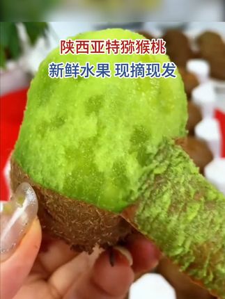 猕猴桃大丰收了!7.9给咱们发15枚! #猕猴桃#绿心猕猴桃#头茬猕猴桃