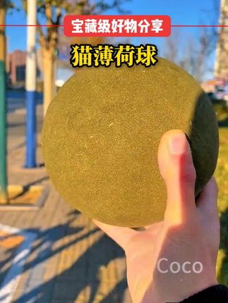 / 猫薄荷球买大了 忘记看尺寸了#狸花猫 #猫薄荷球玩具 #猫薄荷球 #猫薄荷球也太上头了吧 #猫咪自嗨球