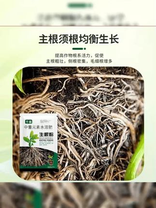 花艺花店打刺去叶修枝插花养花可换刀片多功能花卉专用剪刀#剪刀 #剪子 #园艺剪 #剪刀推荐 #剪子推荐
