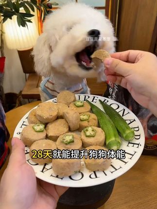家里养狗的赶紧试试莱野牦牛肉主食冻干!28天提升狗狗体能还贼好吃#莱野#新手养狗#养狗好物#狗冻干#莱野冻干