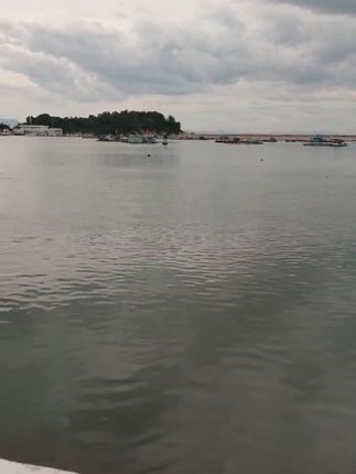 油泼辣子