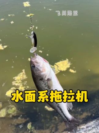 浮水迷你拖拉机,路亚假饵,水面系炸水拖拉机螺旋桨,淡水钓#路亚#路亚假饵#水面系#路亚中鱼#路亚拖拉机