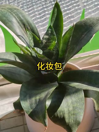 【高品质】化妆包可爱多巴胺旅行大容量便携洗漱房子新款分区手提 #化妆包 #大容量化妆包 #包包推荐