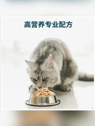 【专属试吃】鲜朗无谷冻干生骨肉全价猫粮试吃禽肉兔肉12g*4包