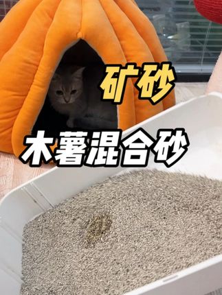 老粉们,不试试的话,我们老板过两天又恢复正价了 #记录猫咪日常 #猫砂 #萌宠出道计划