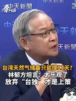 台湾天然气储备只能撑11天?林郁方坦言:太乐观了,放弃“台独”才是上策#看台海