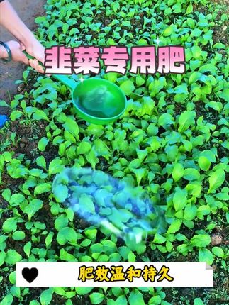 懒人种菜真的有懒办法!#蔬菜专用肥 #三农 #种植小技巧