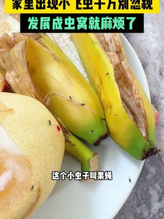自从家里用了#蟑螂魔盒 家里就没有小强啦,还是不用火不用电的#好物分享 #母婴好物