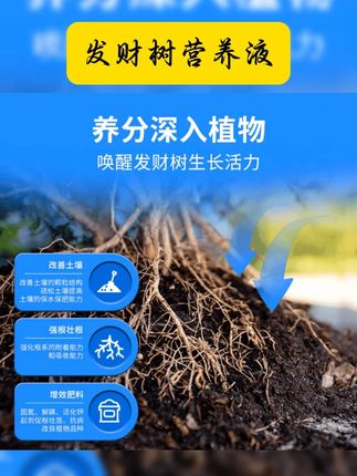 【升级版浓缩发财树营养液】家庭园艺绿植盆栽花卉肥料家用蔬菜阳台 #发财树营养液 #超值好物省心选 #方便又实用 #自用好物分享 #我可真会买