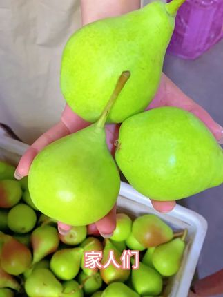 烟台#太婆梨 下树了,软糯香甜,小时候的味道,放软之后都是这个样子的#优质农产品 #自家果园