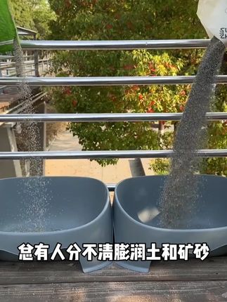 五爪天然钠基原矿破碎猫砂强力除尘低尘除臭香味矿物猫砂五爪猫砂 这个矿砂真的满足养猫人对猫砂的全部幻想了! #猫砂测评 #猫砂推荐 #矿砂