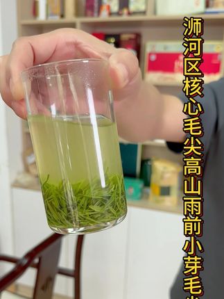 浉河区核心产区的毛尖高山小芽 好喝不贵#信阳毛尖高山茶 #好喝不贵经济实惠 #今天你喝茶了吗