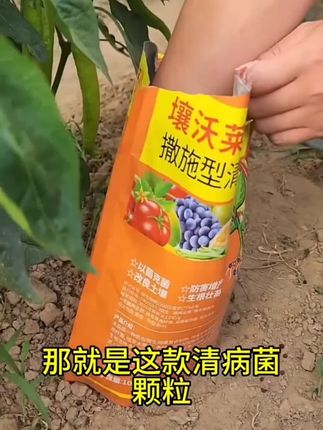 3袋装【每袋500克】撒施型清菌颗粒用于瓜果蔬菜农作物#清菌颗粒 #农作物病虫害 #农药化肥 #农药肥料 #撒施型清菌颗粒