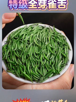 特级全芽雀舌绿茶2025新茶叶正宗明前贵州湄潭翠芽高山毛尖浓香型 #明前茶 #贵州绿茶 #高山毛尖