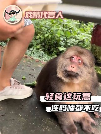 是谁被内涵到了,我不说 #吗喽 #轻食 #减脂 #破防