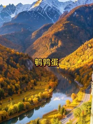 【 80颗试吃5颗】多味鹌鹑蛋盐焗卤味独立包装好吃健康小零食