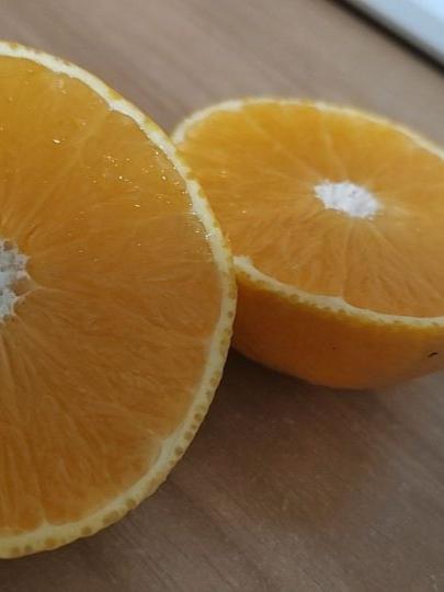 谁能拒绝爱媛果冻橙啊!入口是果冻般的嫩滑,皮薄肉厚、无籽无渣,爆汁的瞬间全是清甜,好吃到想无限回购💥#爱媛38号果冻橙 #新鲜采摘 #皮薄肉厚果肉饱满 #谁懂这一口的好吃程度 #超便宜超划算