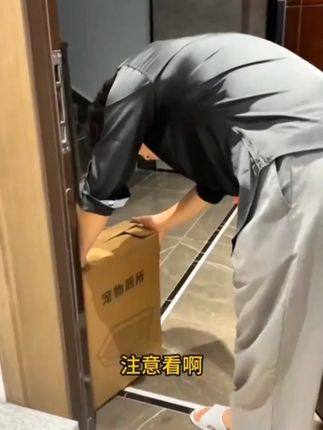 【免洗狗厕所】恩恩星球吐司款防踩屎铁架分体式中小型狗公狗狗砂盆#狗狗用品 #免洗狗厕所 #中小型犬 #狗砂盆 #宠物好物