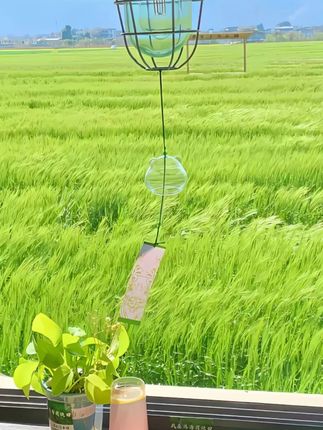 钛钢项链 qingjian/轻简 G-008项链 轻奢简约双面百搭D168K