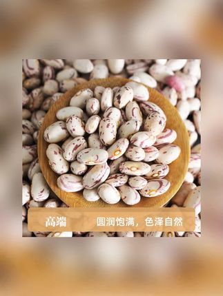 【25年新货】贵州雀蛋豆饱满子奶花芸豆营养花生豆煮粥五谷杂粮#贵州雀蛋豆 #雀蛋豆饱满 #五谷杂粮 #芸豆 #奶花芸豆