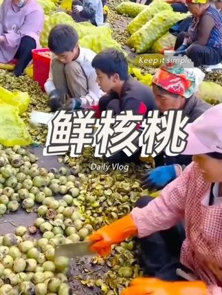 鲜核桃啊你千万别买贵了,我们才是真正的源头果园#新鲜核桃#湿核桃