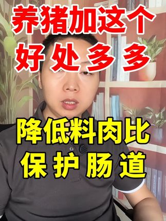 养猪加这个 好处多多 #自繁自养 #养猪人 #猪促生长 #养猪知识分享 #科学养猪