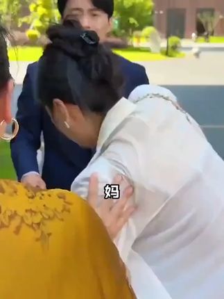 【买一送一】金钻九里香客厅植物美观室内绿植盆栽四季常青