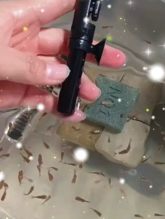 沃韦朗可调恒温加热棒鱼缸乌龟缸迷你小型加温棒防爆短小水族金鱼