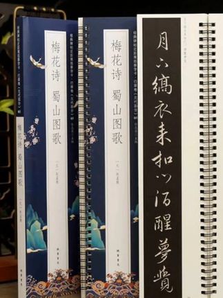 标准行书典范,雅俗共赏,简单易学。#书法 #赵体 #赵孟頫行书 #赵孟頫梅花诗 #行书入门