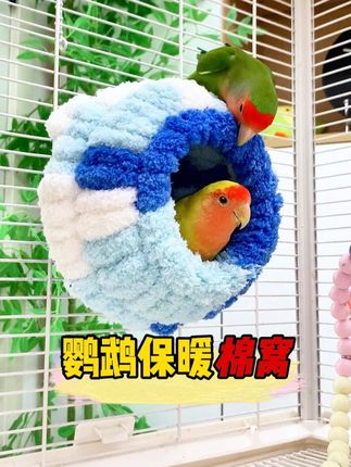 秋天到了,给鹦鹉安排这个巢穴棉窝,温暖舒适关键价格还便宜#鹦鹉棉窝 #鹦鹉 #鹦鹉用品