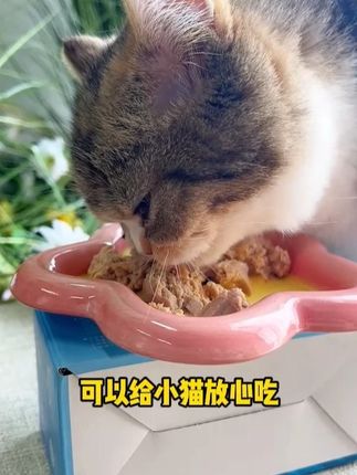 选罐罐还是得选这种口味丰富,价格也实惠的,要不你家挑嘴猫可就难伺候了#萌宠好物 #猫咪 #猫粮