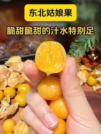 #菇娘果 脆甜脆甜的汁水特别足!现摘现发品质特别好!价格也比我在市场买的合适多了!
