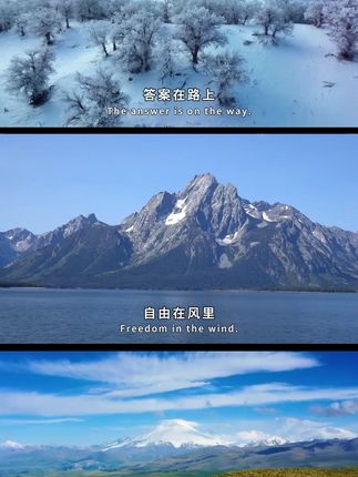 手机支架