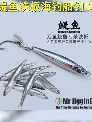 2025新款鳀鱼铁板海钓船钓快抽马鲛专用刀鱼鲅鱼专杀亮片钩假鱼饵 #路亚鲅鱼 #路亚铁板 #海钓路亚 #假鱼饵推荐 #鳀鱼铁板