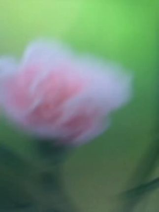 大码女装高腰显瘦窄版直筒牛仔裤秋季新款百搭复古遮胯阔腿裤子女