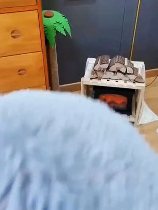 宠物加厚贝壳猫窝秋冬季保暖长毛绒圆形猫窝半封闭猫窝狗窝睡觉窝#贝壳猫窝 #贝壳猫窝狗窝 #猫窝 #猫窝推荐 #半封闭猫窝