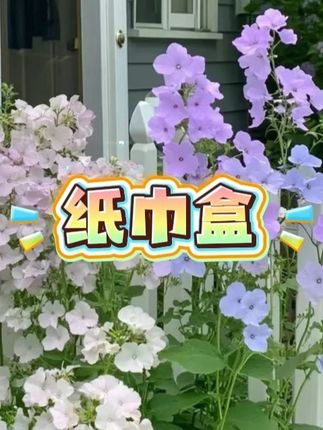 #纸巾盒 #纸盒 #多功能纸盒 #多功能纸巾盒 #厕所纸盒