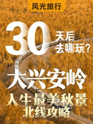 去内蒙古追一场终身难忘的秋天!大兴安岭追秋攻略(北线) #大兴安岭 #呼伦贝尔旅游攻略 #十一旅游 #旅行的dna又动了 #真实生活分享计划