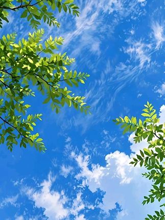 双层学习科目袋学生书袋课本收纳袋大容量书袋试卷收纳袋