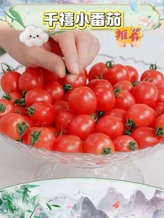 控糖水果应季水果正宗千禧圣女果小番茄西红柿 #千禧圣女果 #圣女果 #小番茄 #西红柿 #好物推荐