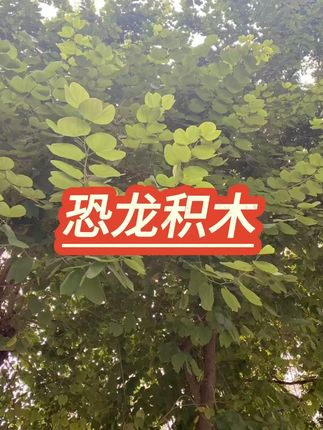 儿童恐龙轨道积木电动拼接玩具 #积木玩具 #恐龙玩具 #儿童乐园