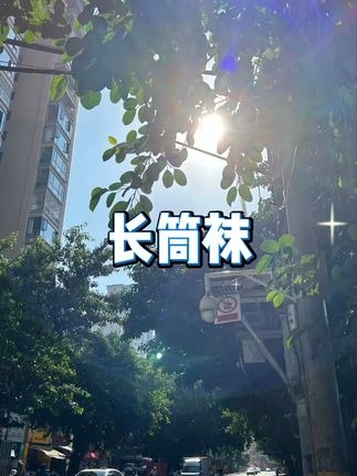 女士 ins 秋冬长筒棉袜 #加厚网红爆款袜子 #高腰甜美字母袜 #时尚饰品袜