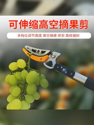 高空摘果神器多功能伸缩高枝摘果剪杆采摘枇杷荔枝龙眼黄皮杨梅 #高空摘果器 #高枝剪 #摘果神器 #果农的好帮手 #送你一束宫崎骏的夏天