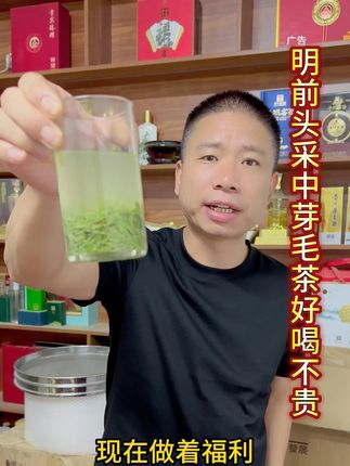 明前头采中芽毛尖 精选高山茶 单量不多#明前头采黄金芽 #中芽毛尖 #好喝不贵经济实惠 #今天你喝茶了吗