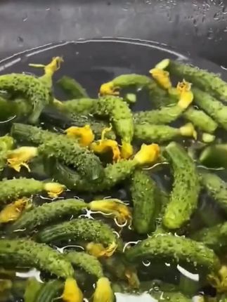 腌腌菜的小黄瓜,你们种过吗?三四十天就下来,立秋前后就种它 #小黄瓜 #腌渍小黄瓜 #腌黄瓜 #阳台小院均可种植 #黄瓜种子