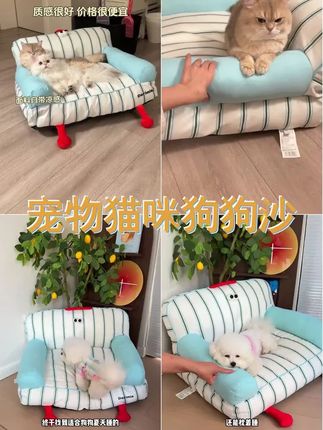 养宠装备高颜值沙发小型猫犬宠物沙发四季通用可拆洗狗狗床 #狗窝 #狗狗沙发 #猫窝 #萌宠好物 #宠物窝