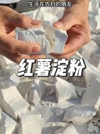 荣放手工红薯淀粉纯红薯粉红苕面正番薯地瓜粉小酥肉专用生粉 #红薯淀粉 #淀粉 #红薯粉 #生粉 #手工红薯淀粉