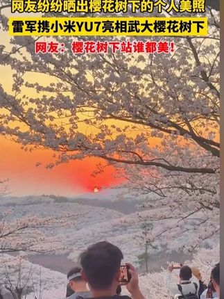 放熟吃!软糯香甜!品质很好!#海南冰糖心木瓜  #木瓜 1